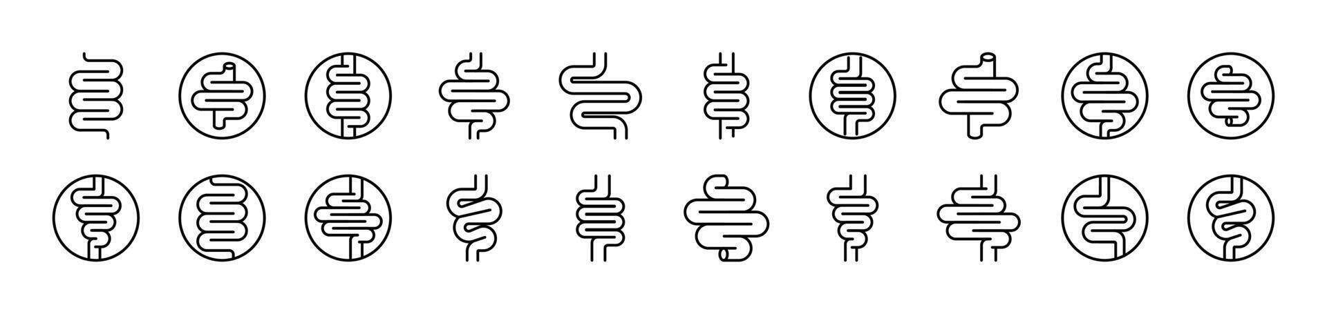 Digestion and Intestine Pack of Thin Icons. Editable Stroke. Suitable for Web Sites, Books, Cards, Apps vector