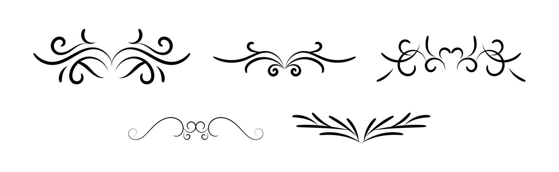 ornate elements design on black colour vector
