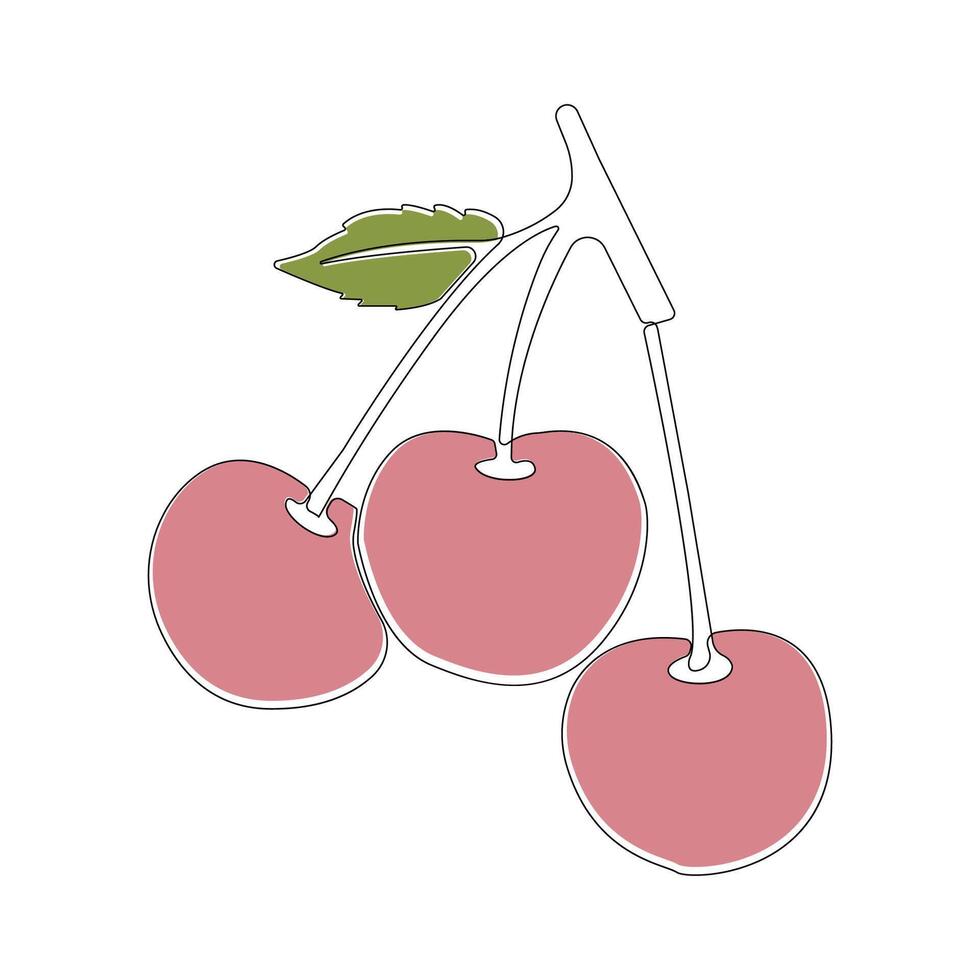 Hand-drawn cherry line art drawing. Cherry fruit linear icon . vector