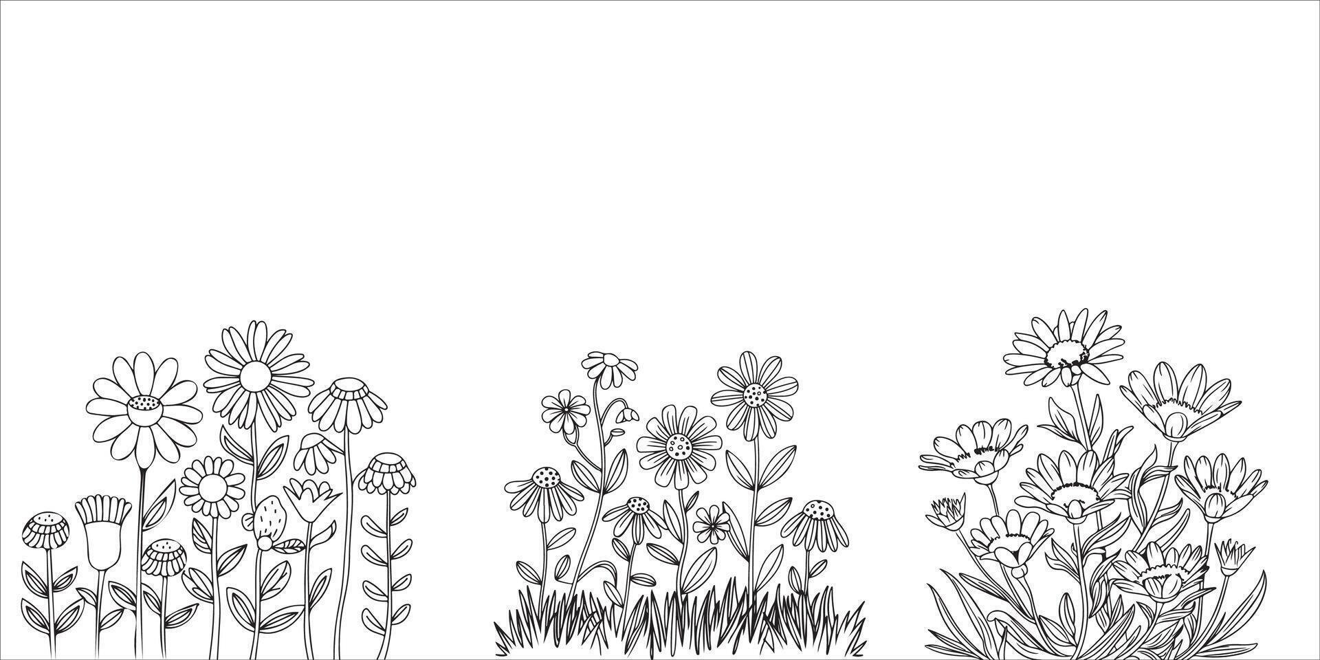 Set of Wild Flower Outline Drawing Coloring Page for Kids and Adults vector