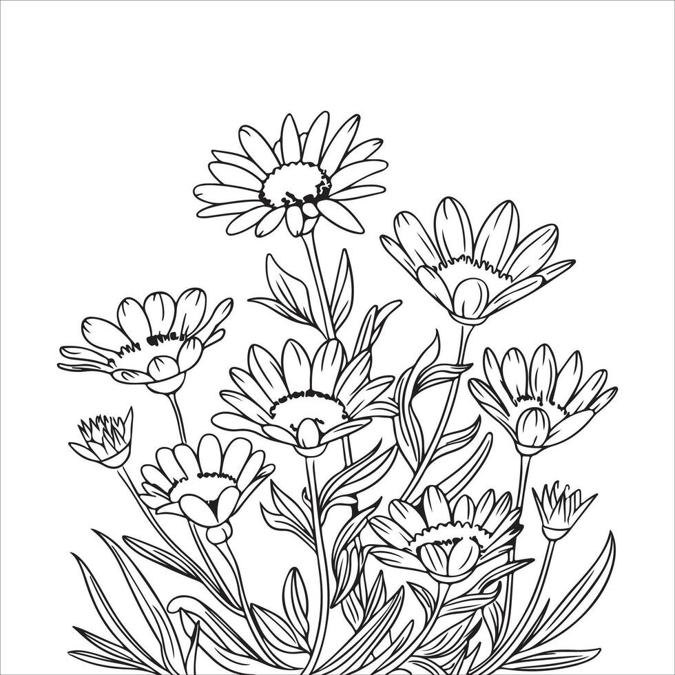 Wild Flower Outline Drawing Coloring Page for Kids and Adults vector