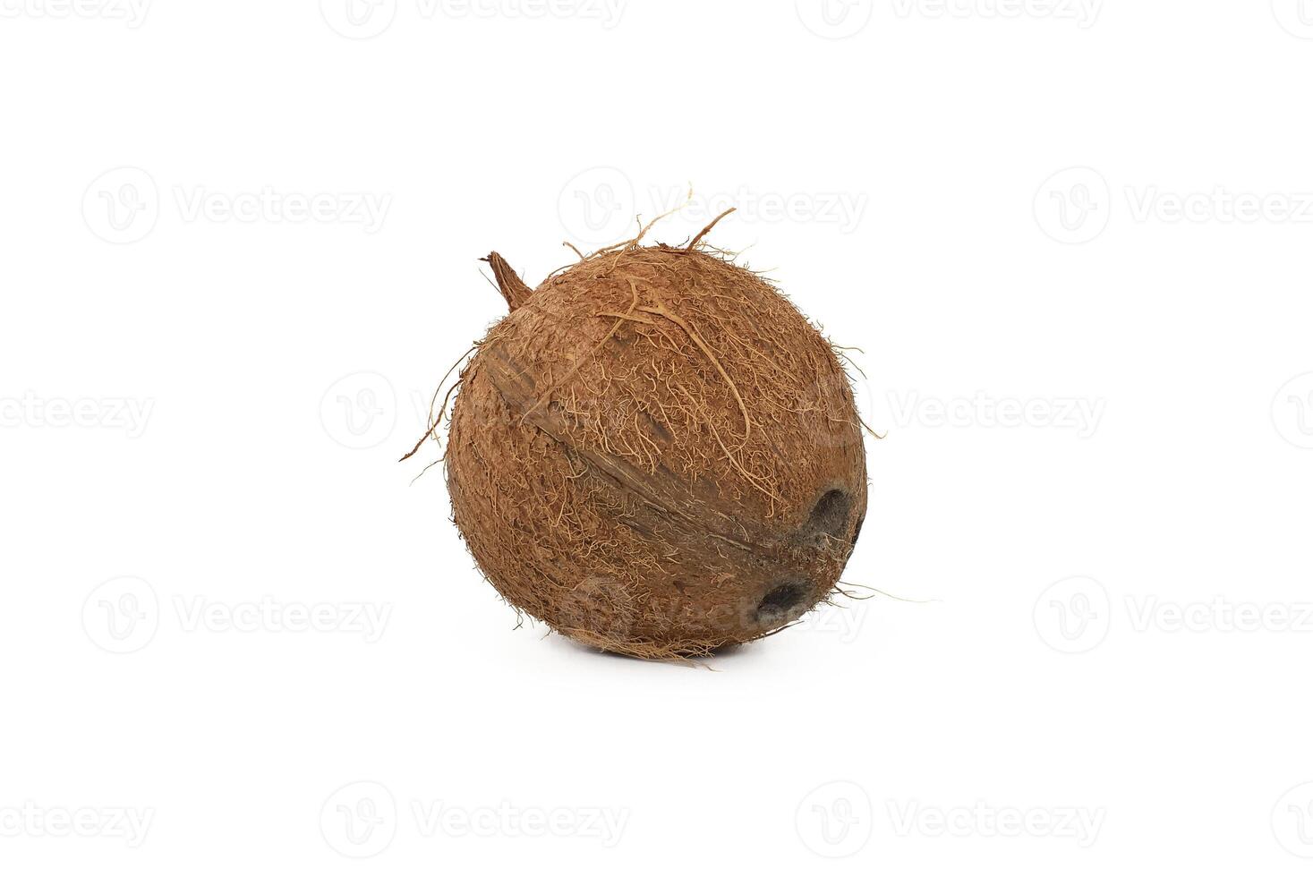 Coconut isolated on a white background photo