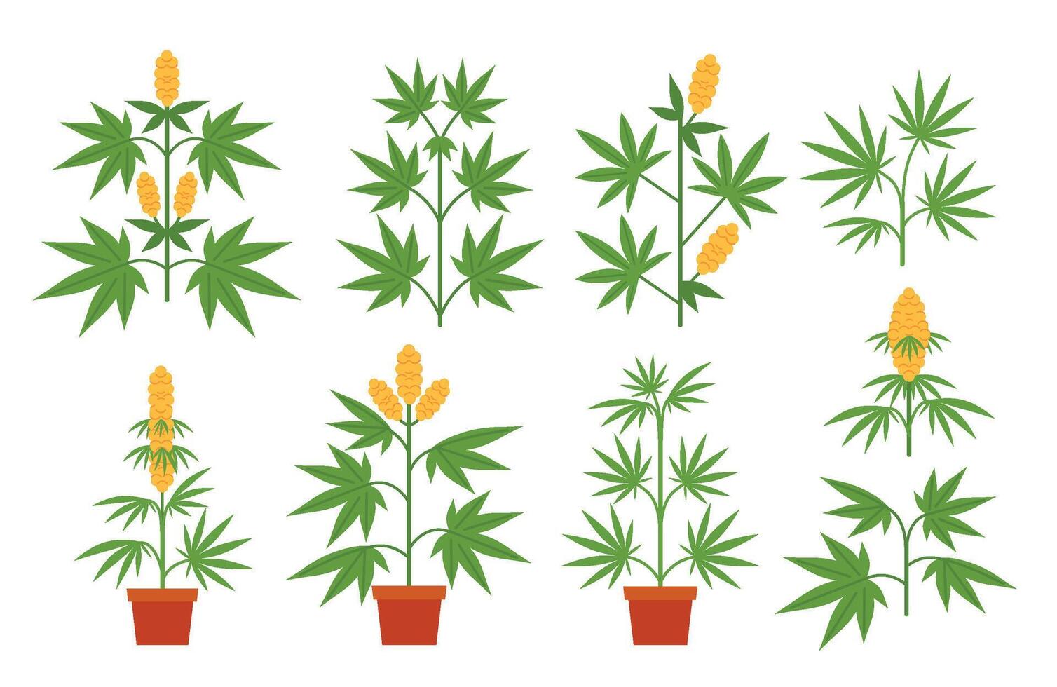 Cartoon cannabis plants. Potted marijuana plant with leaves and buds. Branches of indica and sativa. Cannabis cultivation botanical isolated illustrations set vector