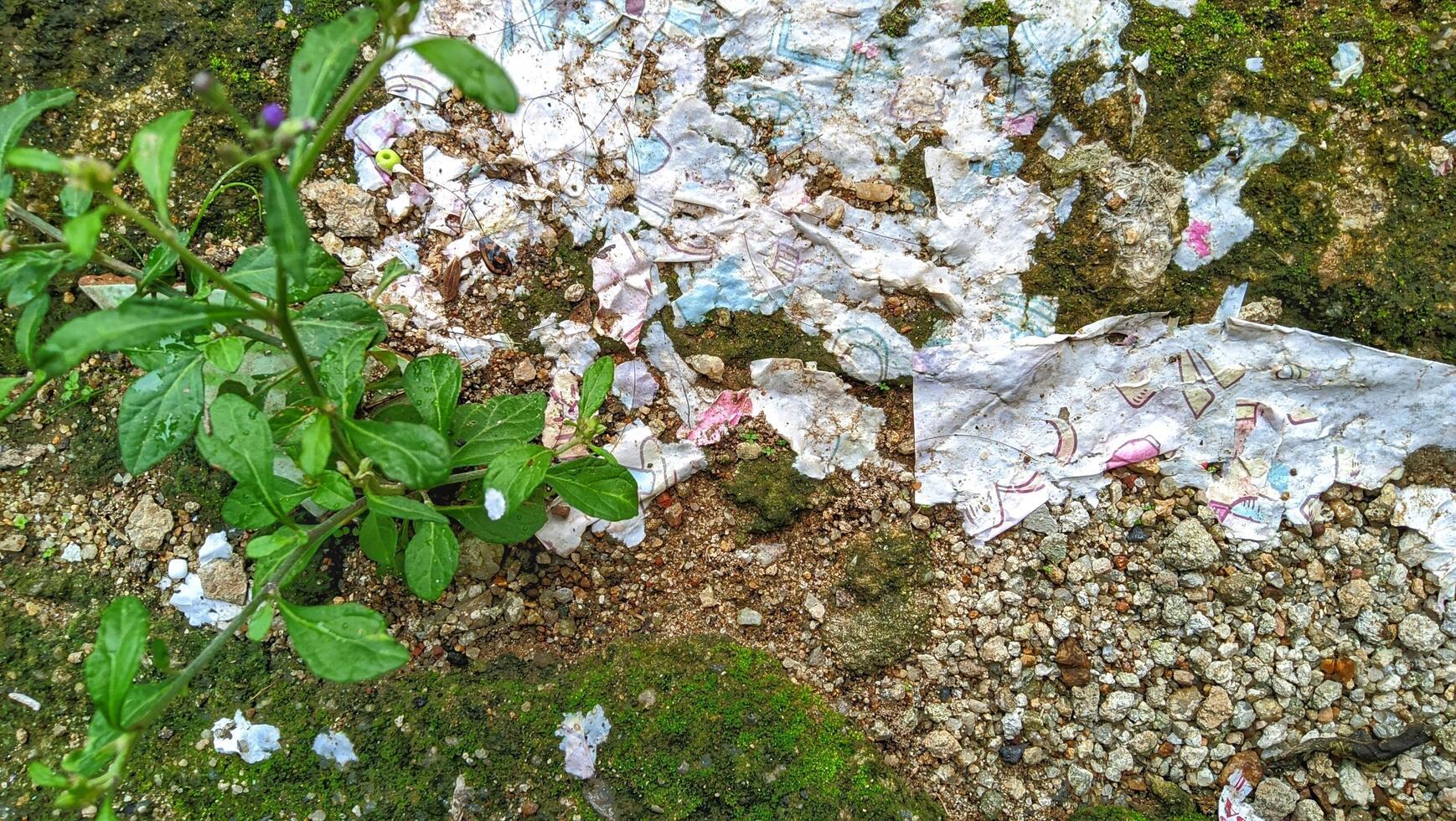 Litter on the ground photo