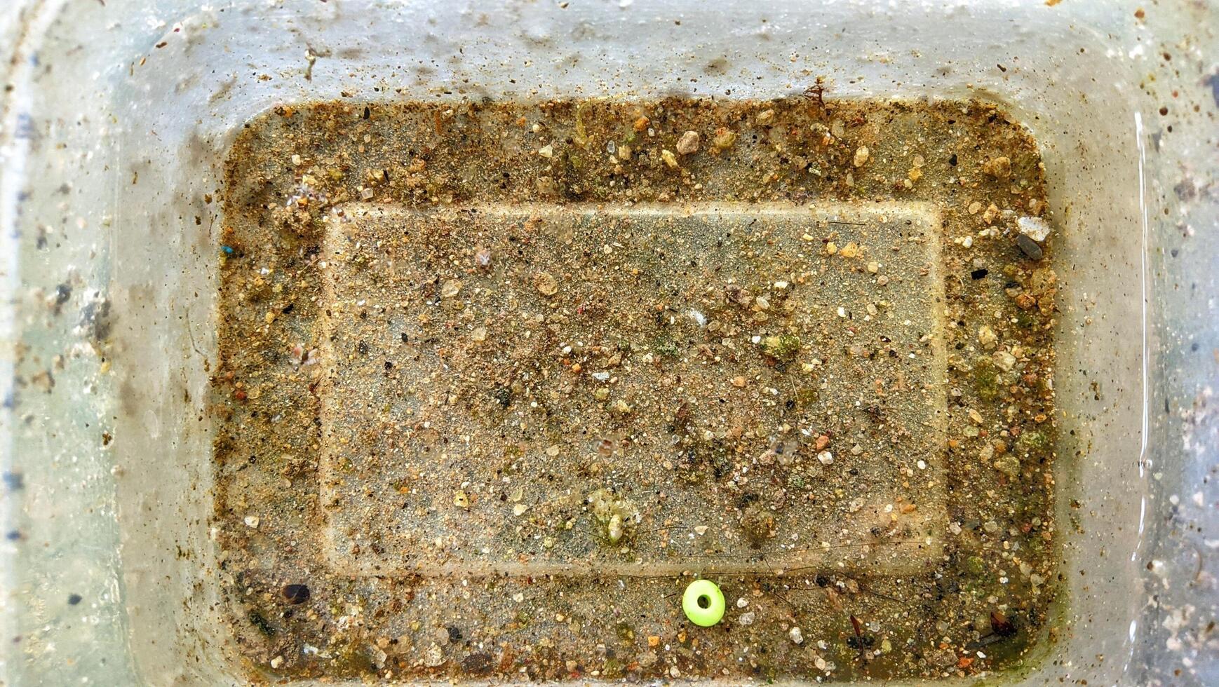 Dirty plastic container with soil and debris photo