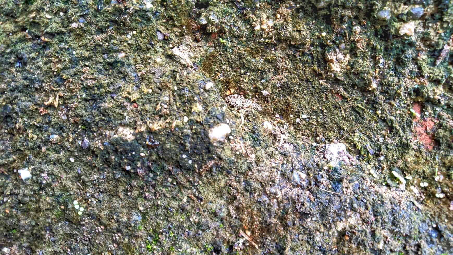Close up of mossy rock texture photo