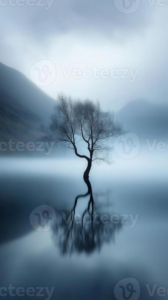 Lonely tree stands in tranquil water under a misty sky at dawn photo