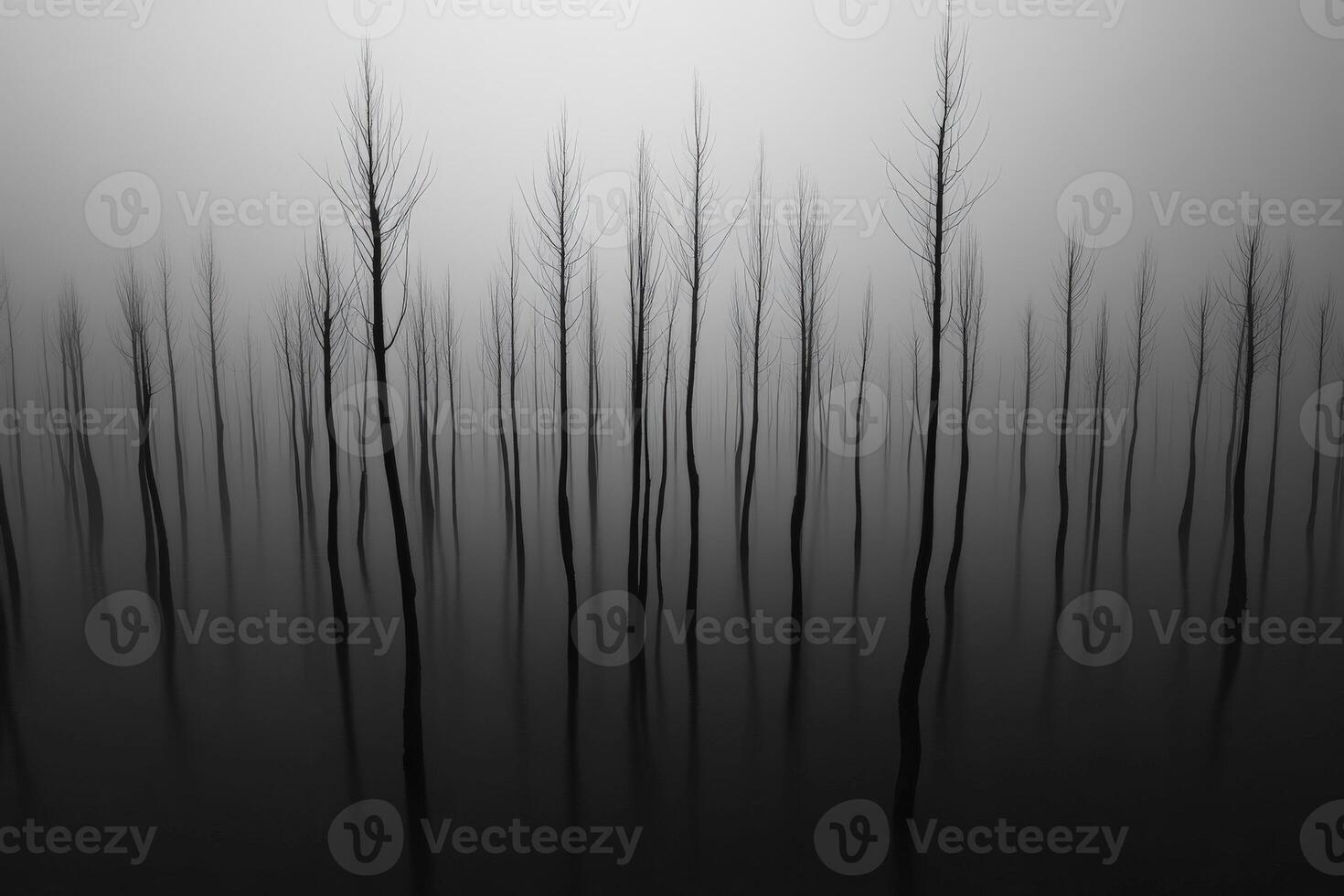 Mysterious silhouettes of barren trees reflecting in calm water at dawn photo