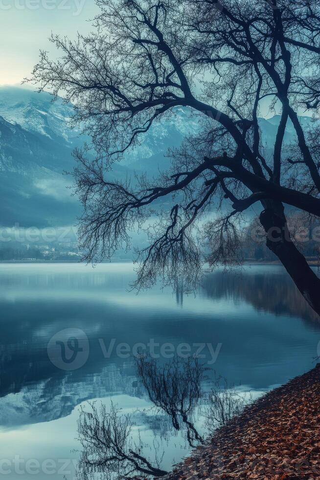 Serene lakeside view with tree reflections in early morning fog photo