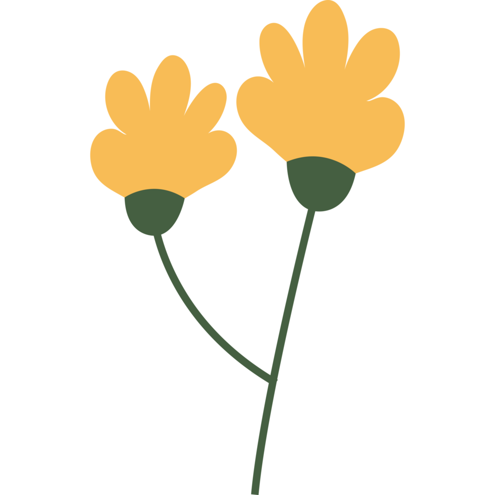Two yellow flowers icon isolated png