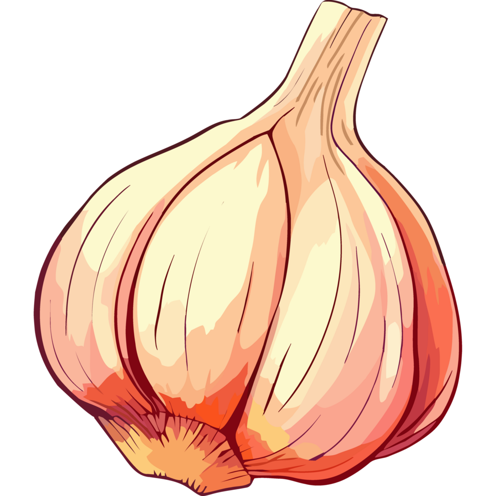 Fresh organic garlic clove, a healthy seasoning ingredient icon isolated png
