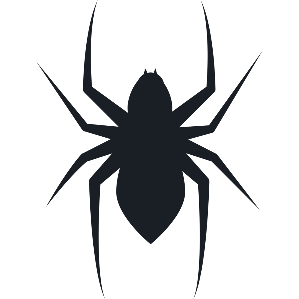 Spider icon isolated png