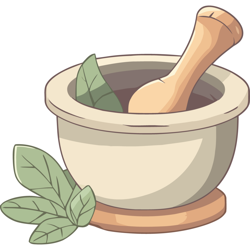 Fresh herb seasoning for healthy organic cooking icon isolated png