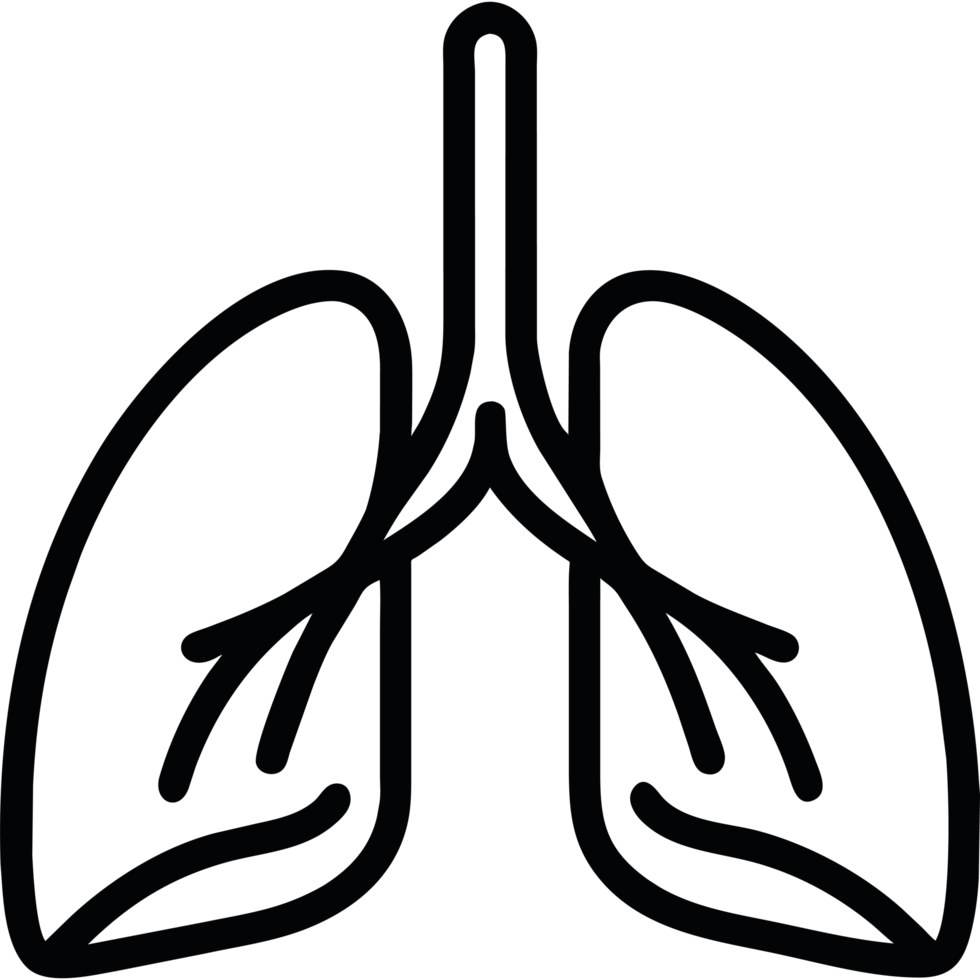 Lungs icon isolated png