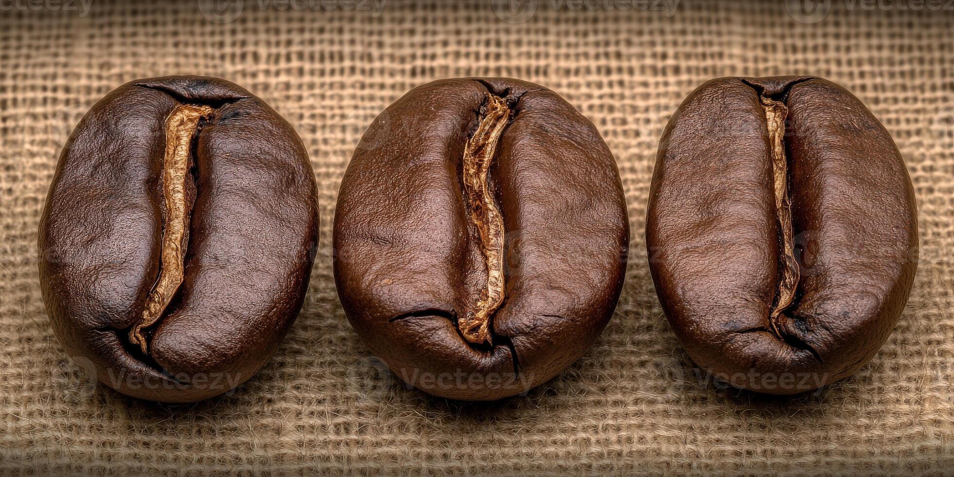 Dark roasted coffee beans arranged on burlap showcasing texture and detail photo