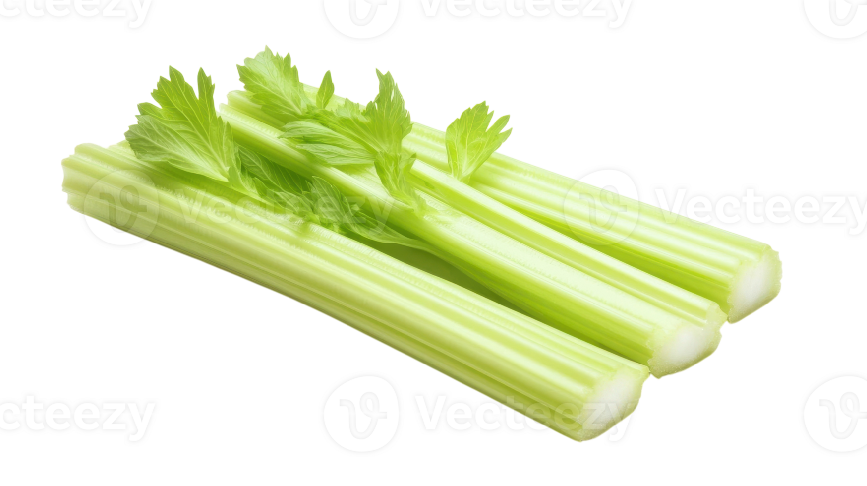 A Fresh Celery Stick Highlighting Its Natural Ridges and Textures Perfect for Cooking and Healthy Eating Concepts. png