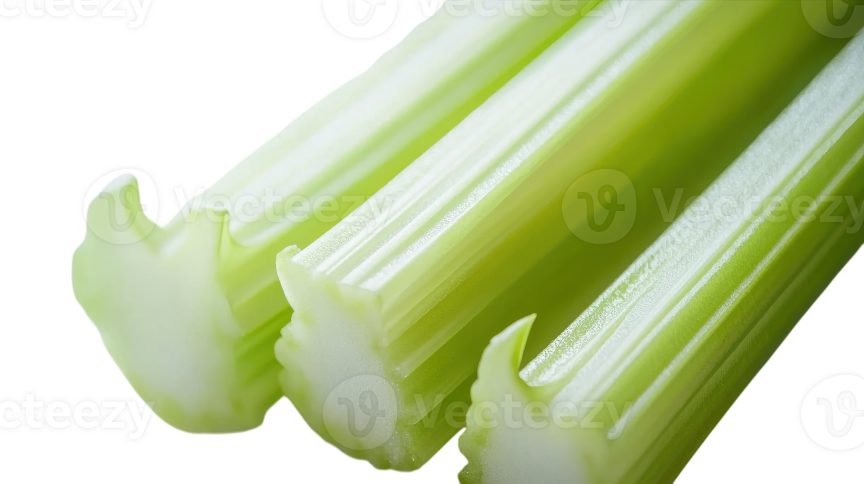 High-Quality Image of a Fresh Celery Stick Showcasing Its Unique Ridges Ideal for Culinary and Nutrition Blogs and Health-Related Articles. png