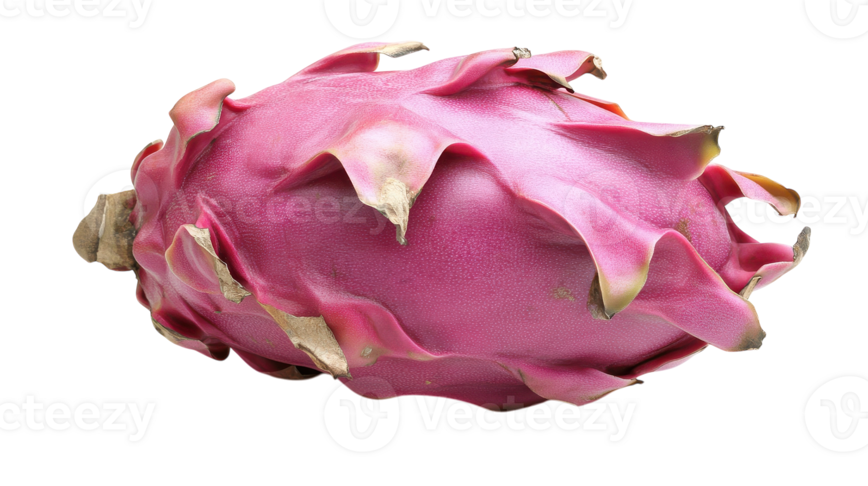 Fresh Dragon Fruit with Bright Pink Skin Ideal for Health and Culinary Applications. png