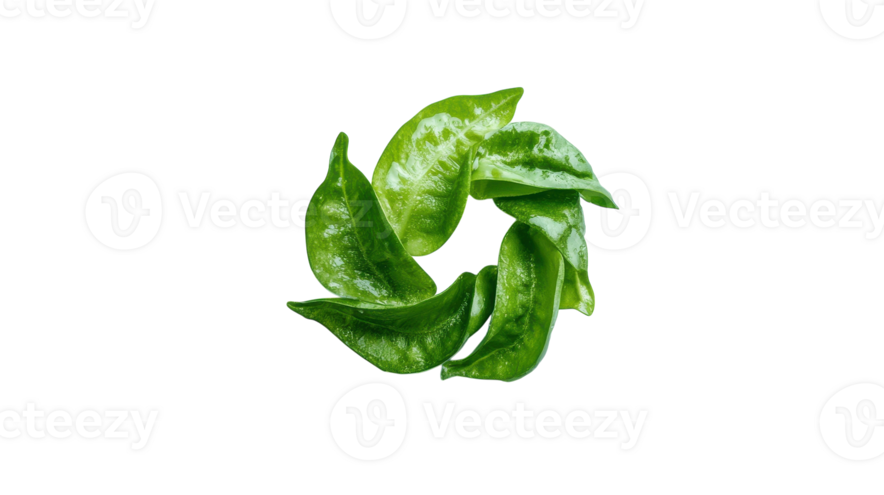 Vibrant Fresh Green Bell Pepper Perfect for Culinary Uses and Healthy Recipes to Add Flavor and Nutrition to Your Dishes. png