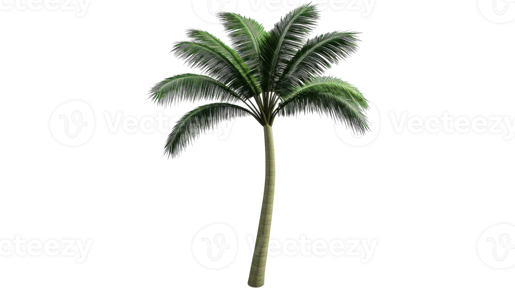 Fresh and Vibrant Broccoli Head with Stem Ideal for Healthy Cooking and Nutritional Dishes. png