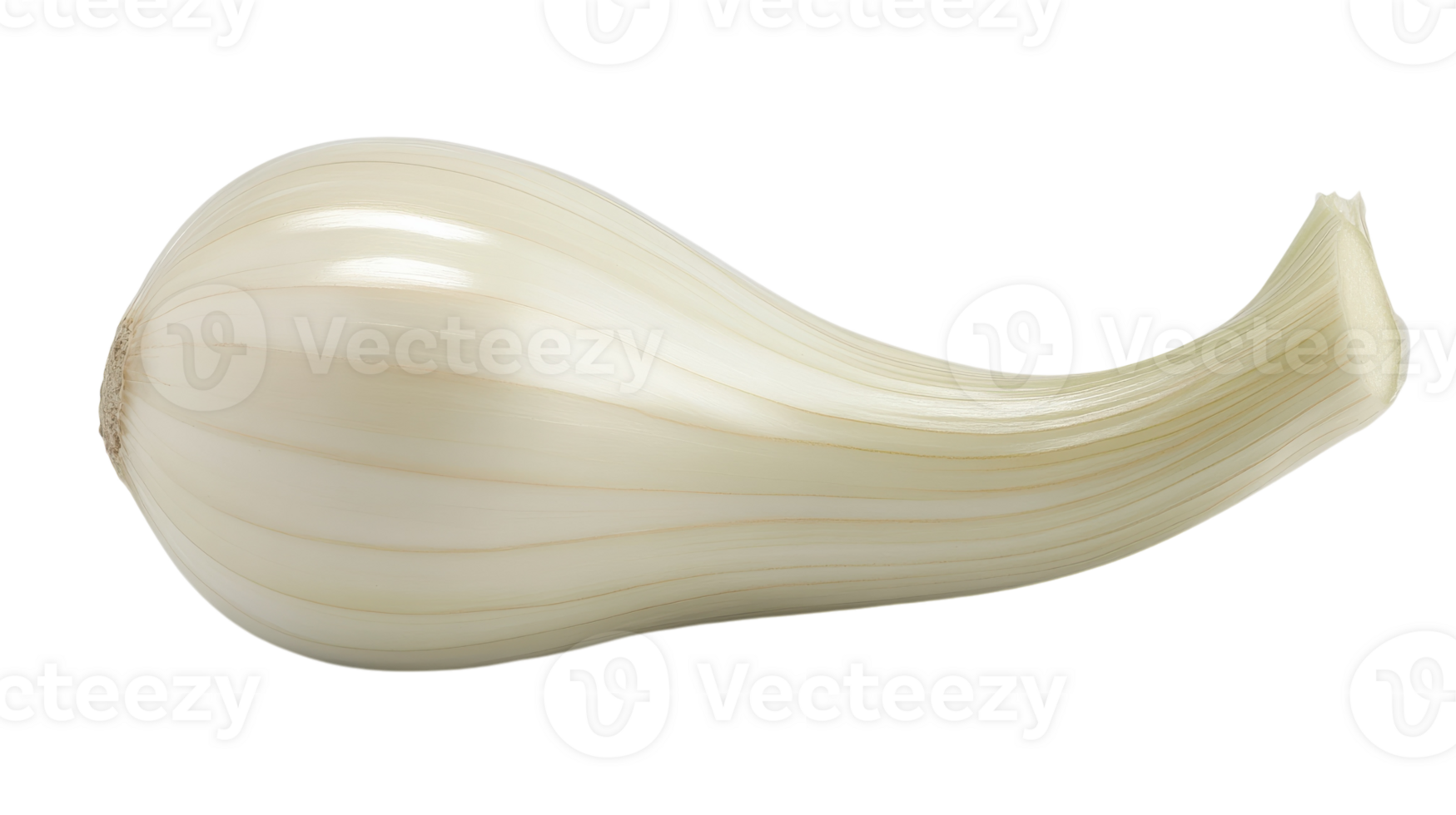 High-Quality Fresh White Garlic Clove with Smooth Surface Perfect for Culinary Uses and Health Benefits in Cooking. png