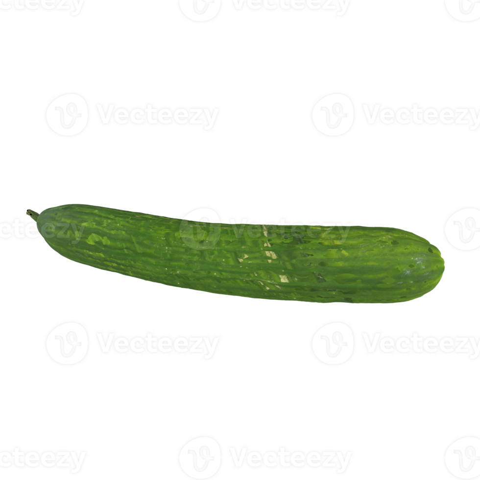 Fresh green cucumber isolated on transparent for culinary use png