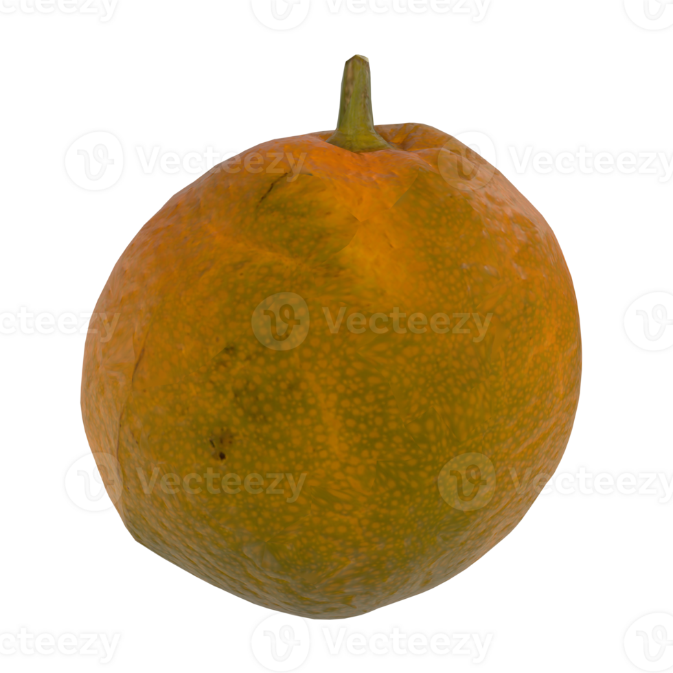 Bright orange fruit on transparent, highlighting texture and color png