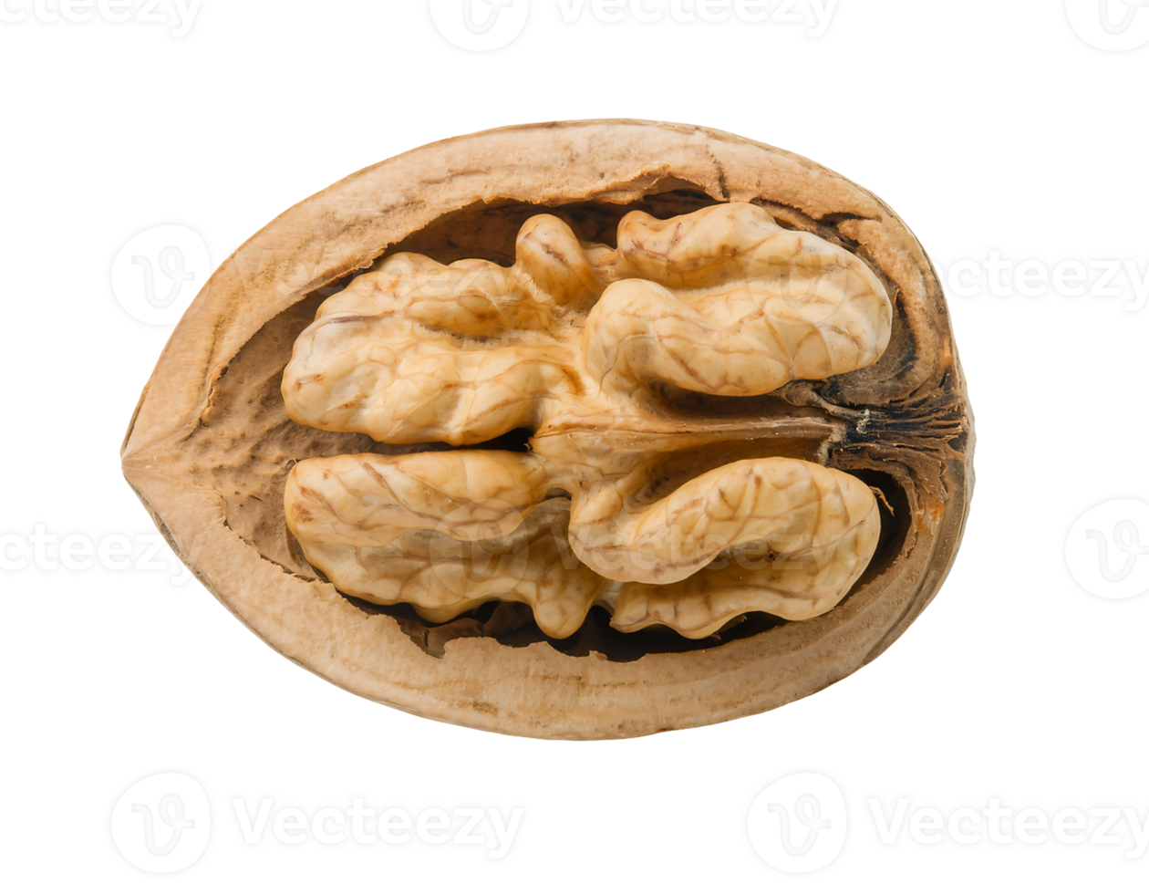 walnut half isolated background, close-up of walnut kernel and shell, healthy snack, nutritious food, brain-shaped nut detail png