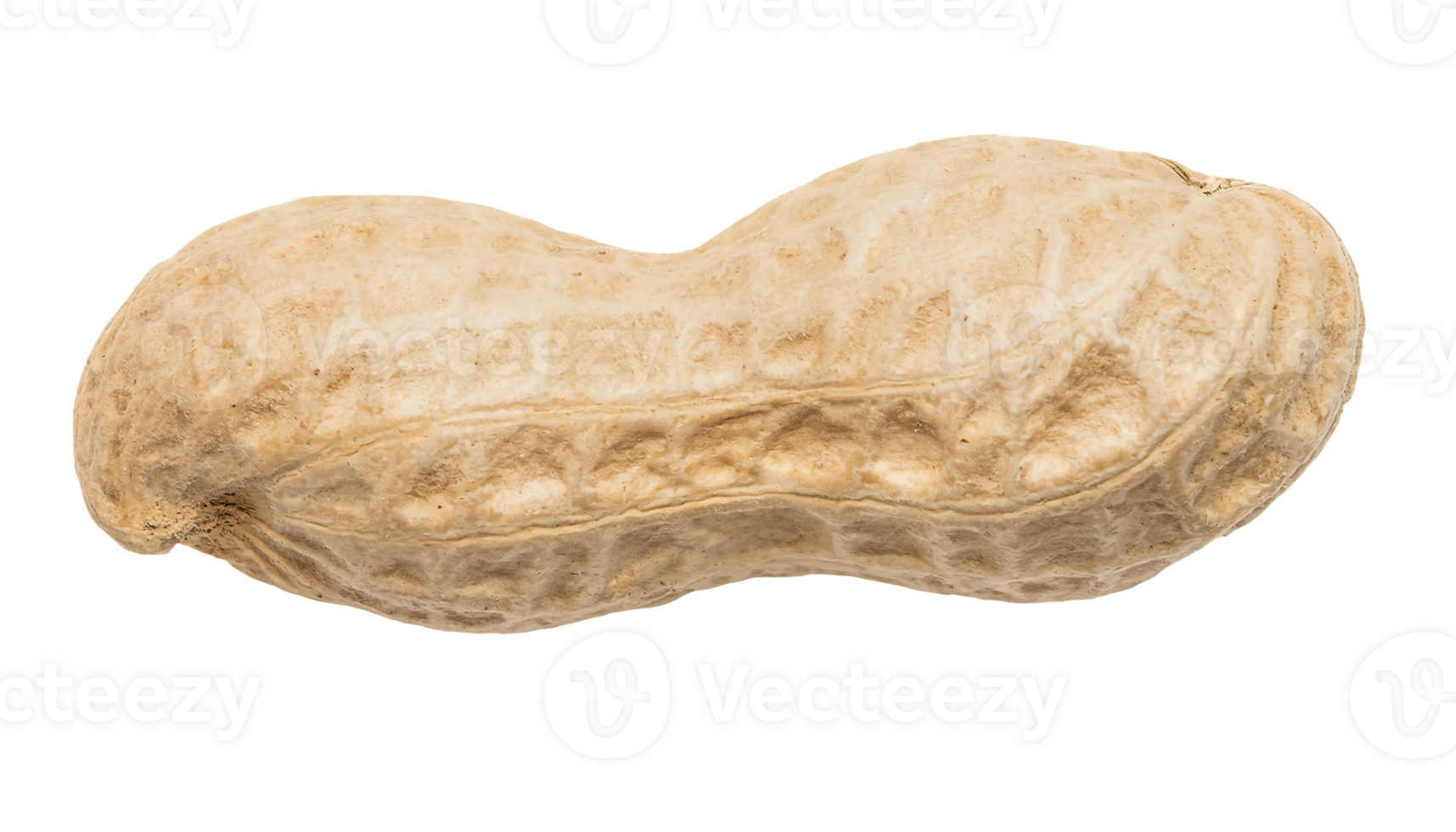 single whole peanut in shell closeup isolated background, textured surface of natural legume png