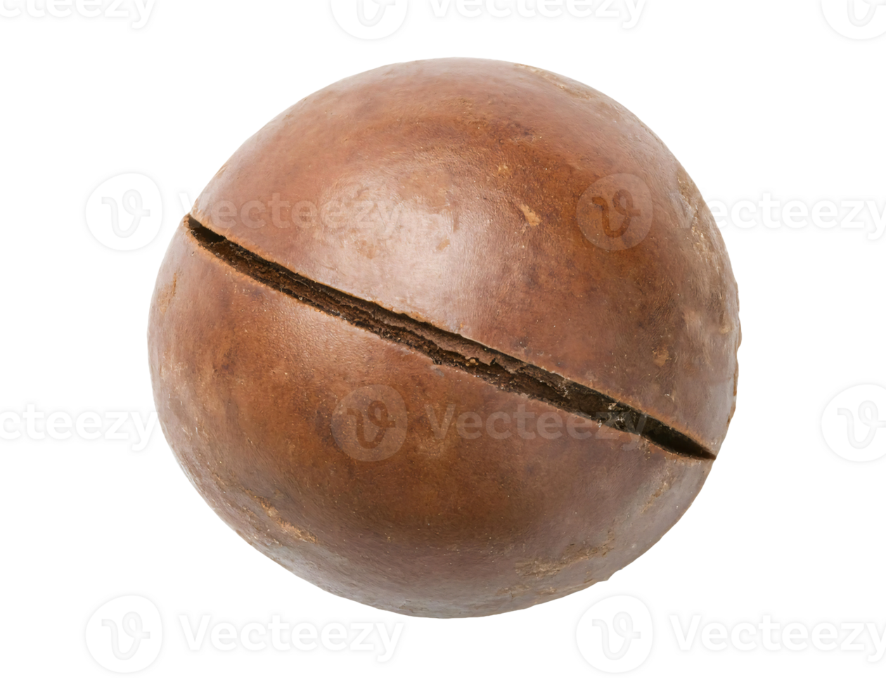 single dried nutmeg seed closeup isolated background, brown natural spice with cracked surface png