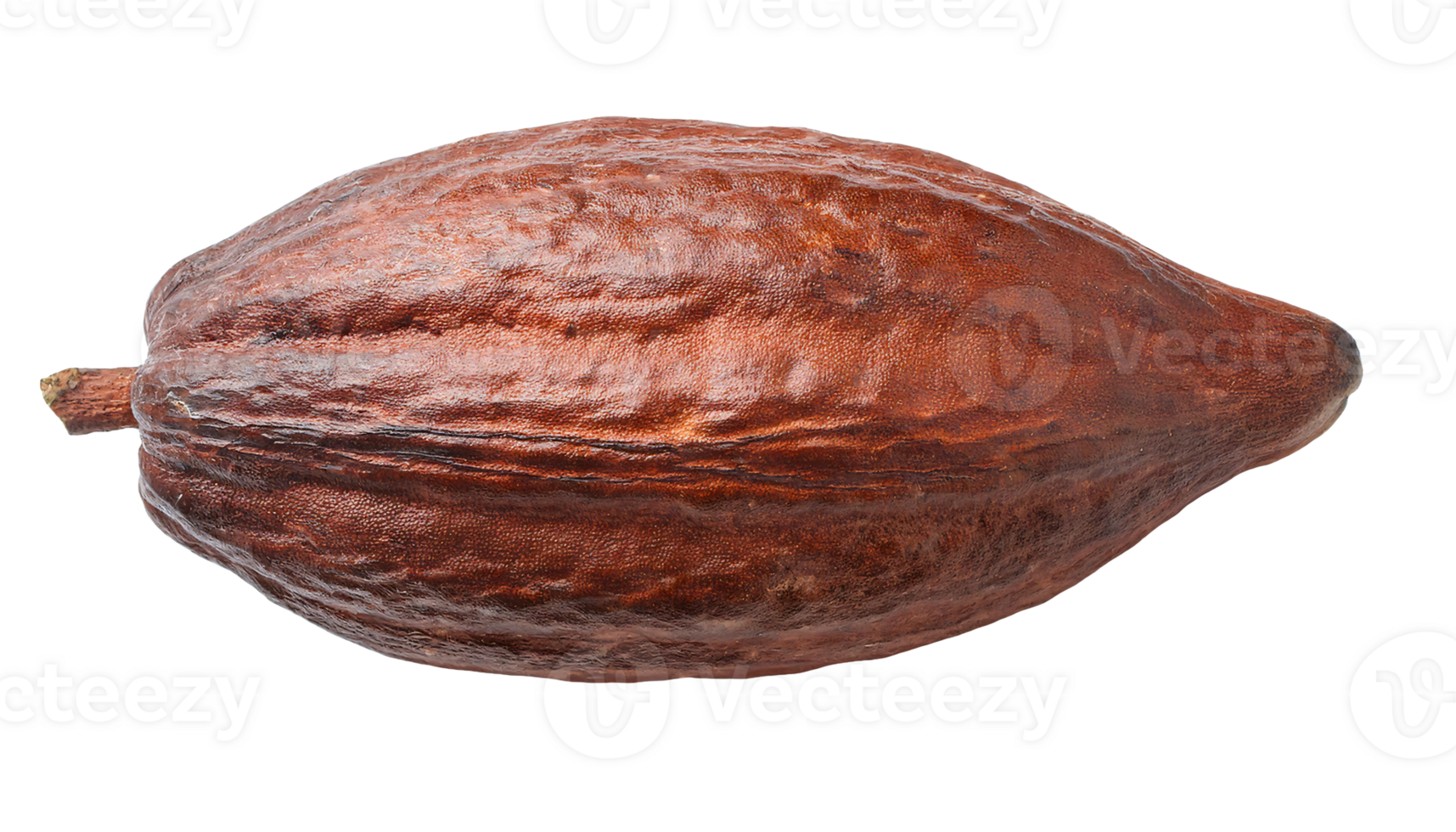 cacao pod isolated background, whole cocoa fruit, detailed cacao pod close-up, natural chocolate ingredient, tropical fruit png