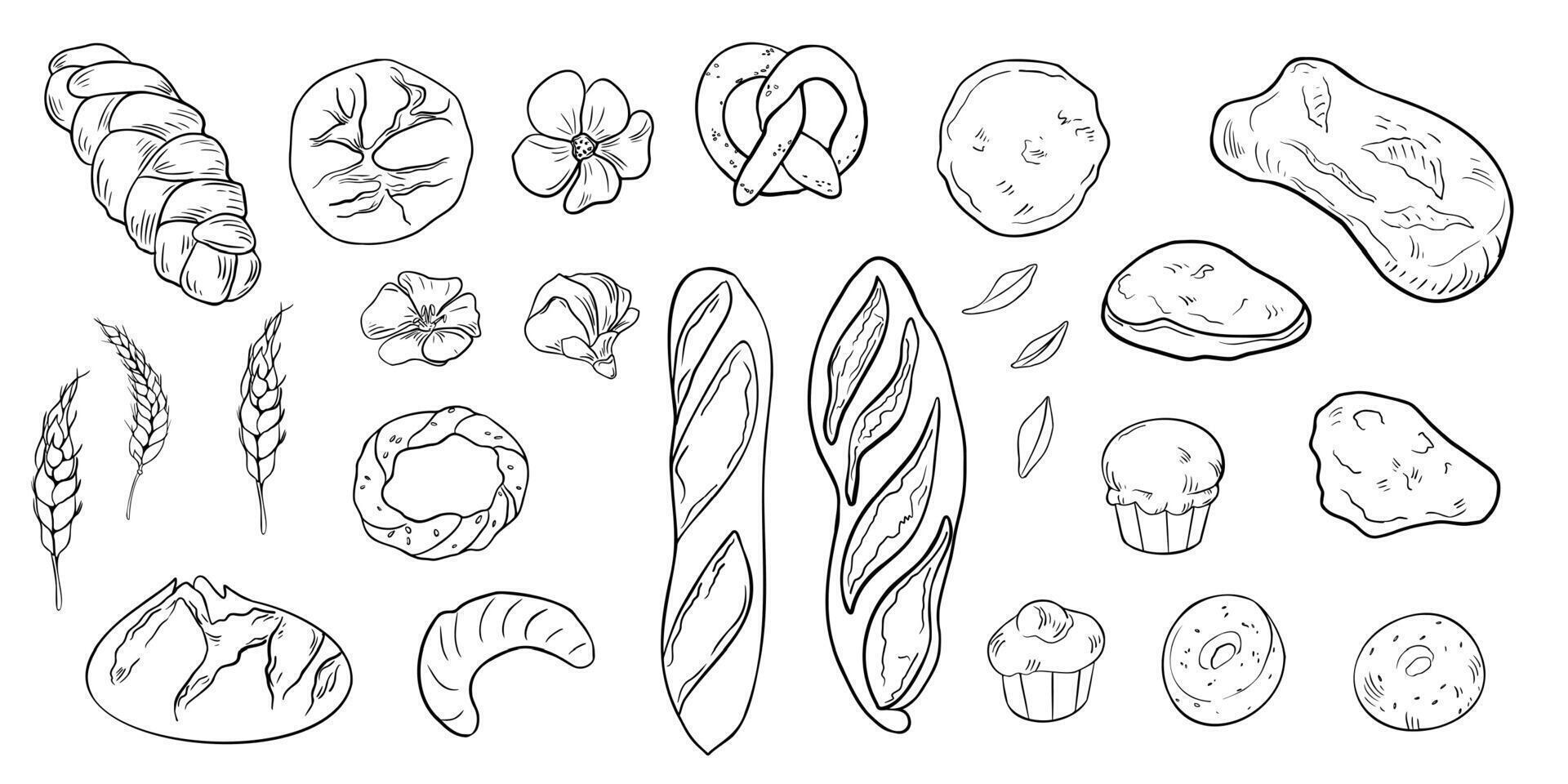 Assorted bread and baked goods hand drawn black and white illustrations isolated. Baguette, croissant, rye loaf, muffins, wheat ear, and challah line art painted for culinary, bakery packaging. vector