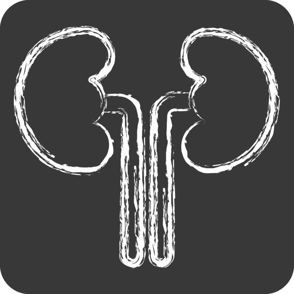 Icon Kidney. related to Healthcare symbol. chalk Style. design editable vector