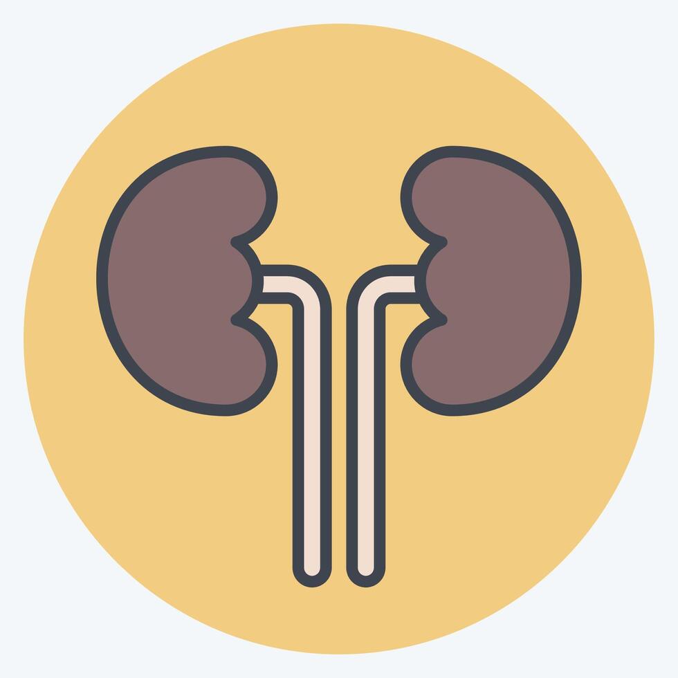 Icon Kidney. related to Healthcare symbol. color mate style. design editable vector