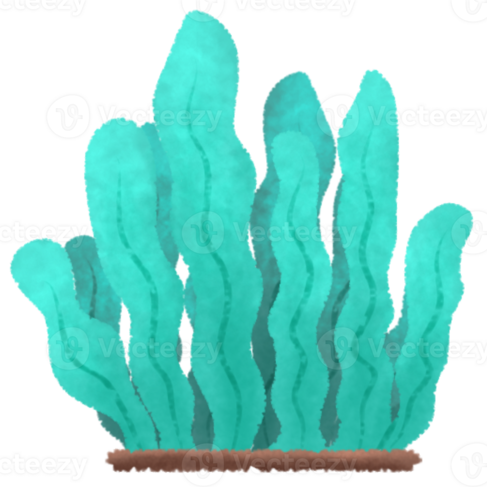 Tosca Plant Bush png