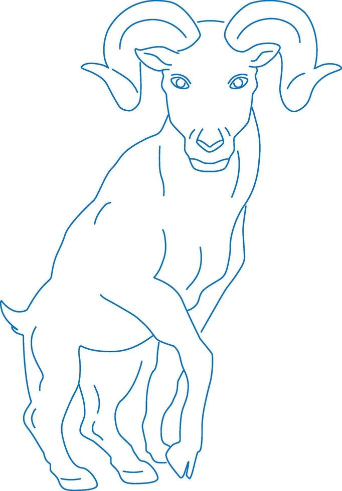 Aries zodiac line drawing silhouette vector