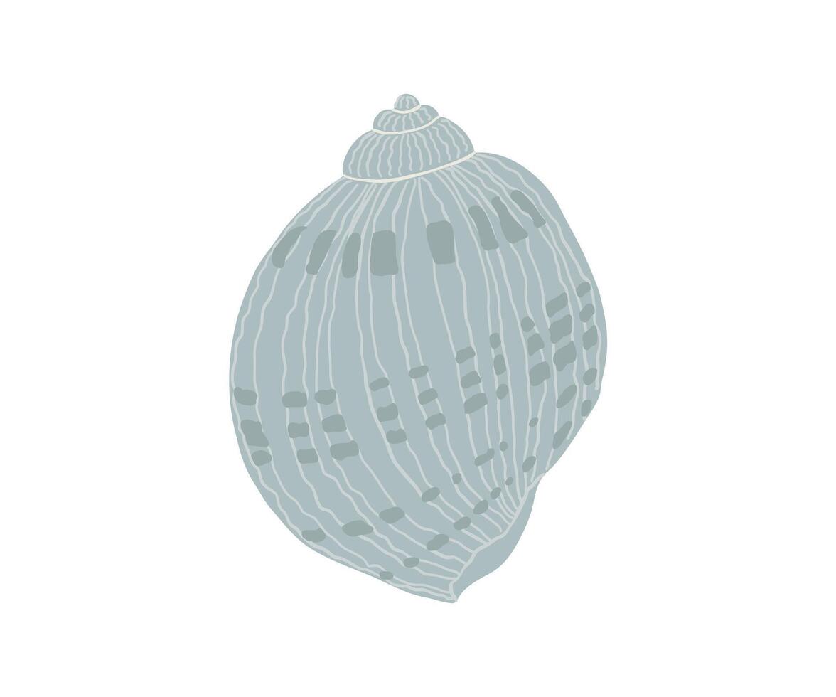 The sea shell is drawn in a flat style. Sea, coast, beach. Hand drawn illustration. vector