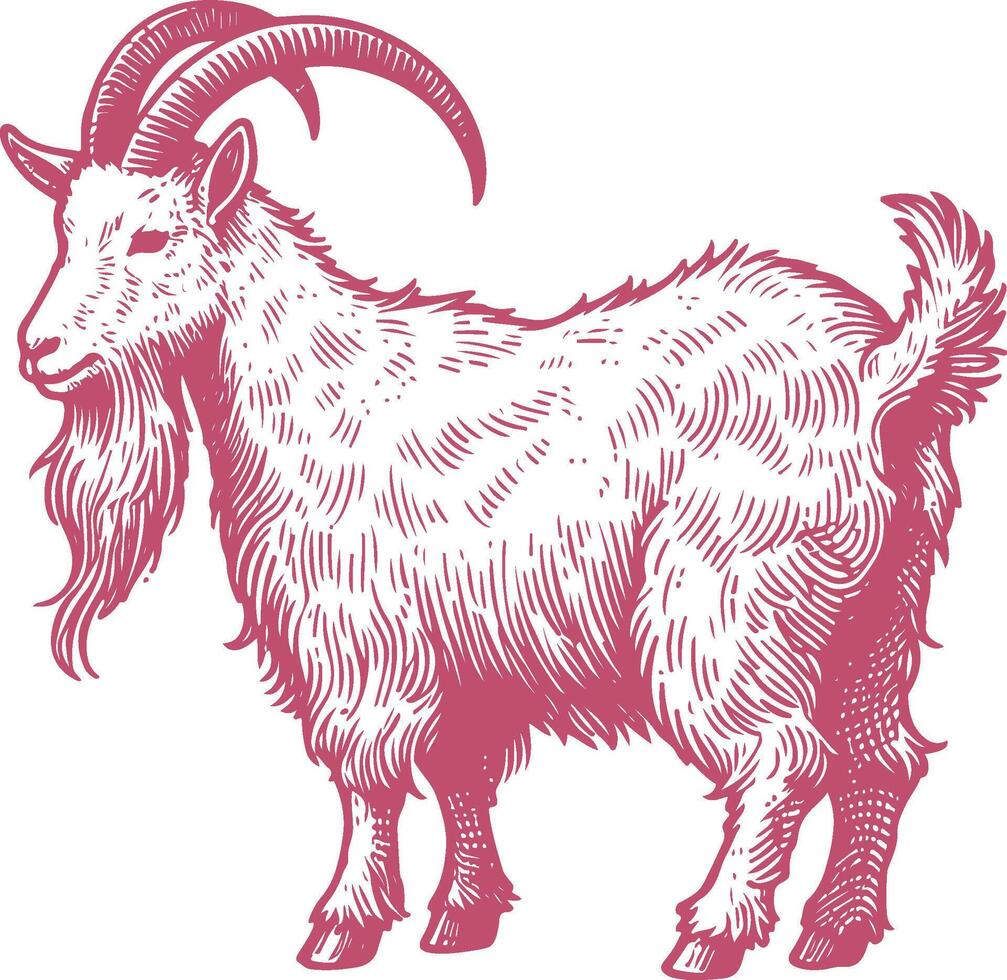 Charming and Lifelike Illustration of the Irish Goat, Highlighting Its Hardy Nature and Unique Features vector