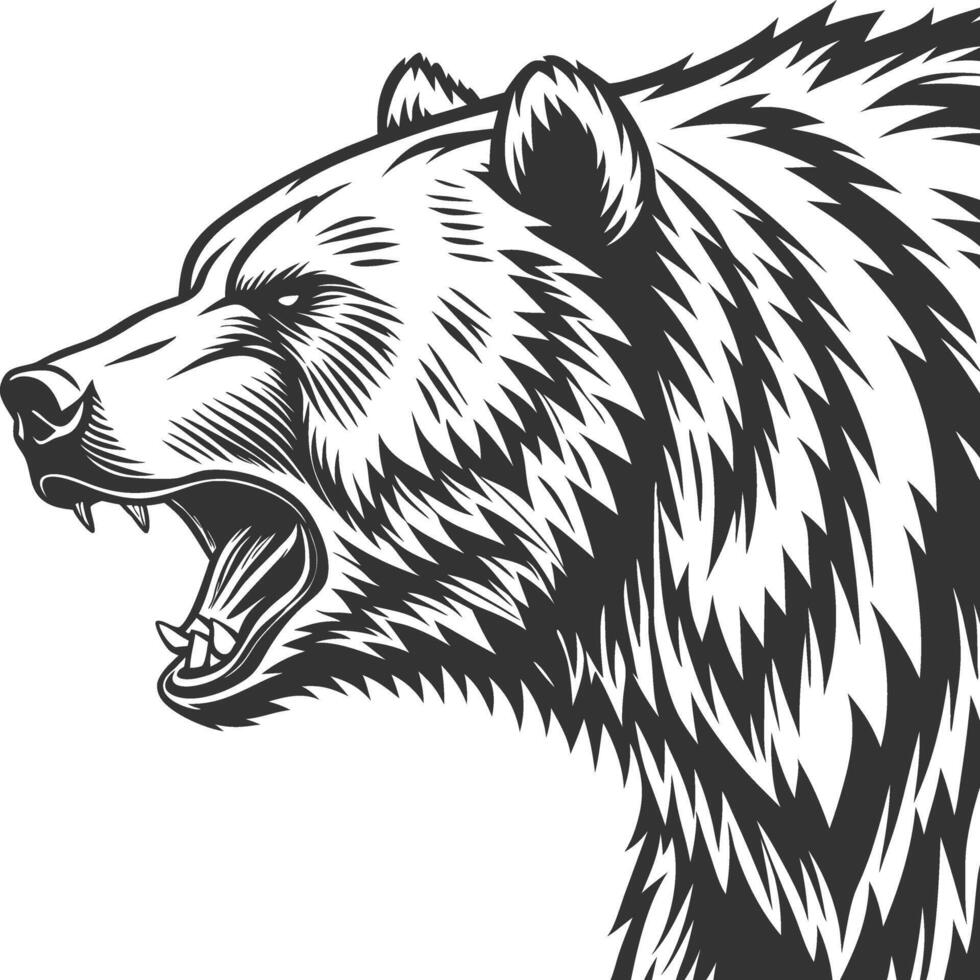 Fierce Roaring Bear Black and White Illustration Vintage Engraving vector