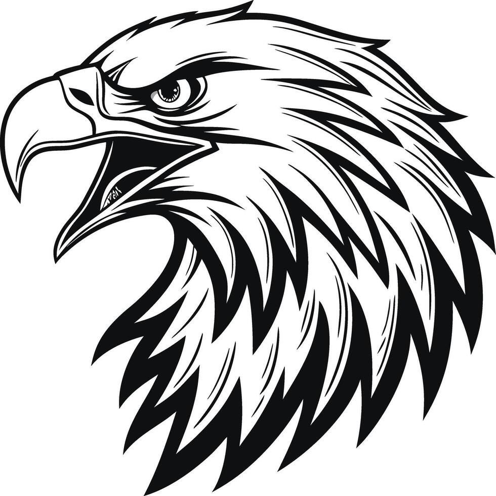 Detailed Bald Eagle Head Illustration Fierce Expression Black and White vector