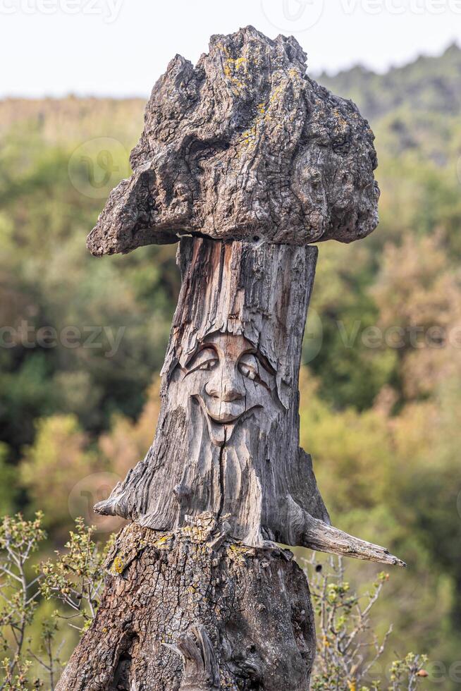 Beautiful stump of the old gray tree with a smile face and knots and cracks. Vertical photo