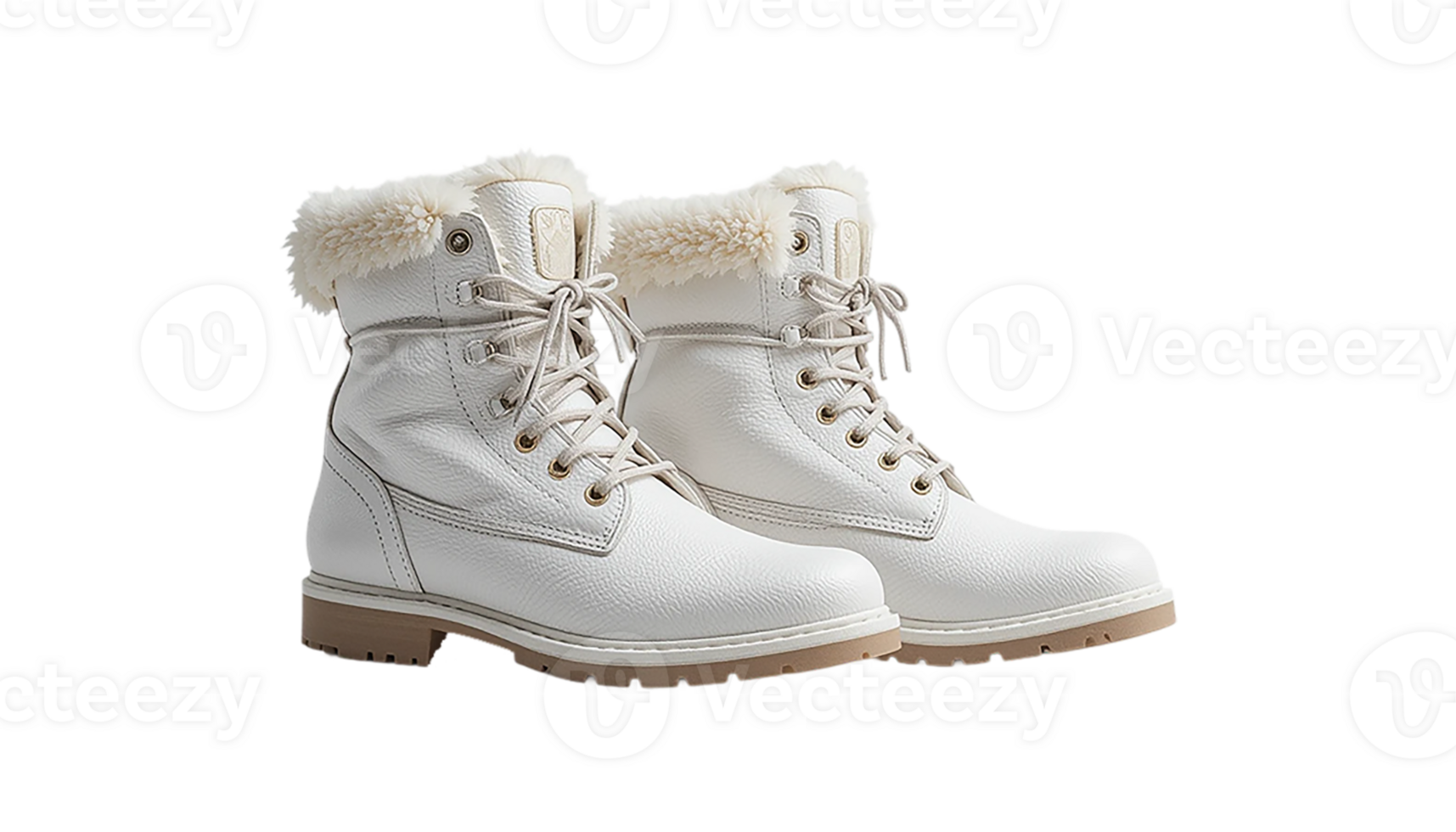 Pair of Stylish White Winter Boots. png