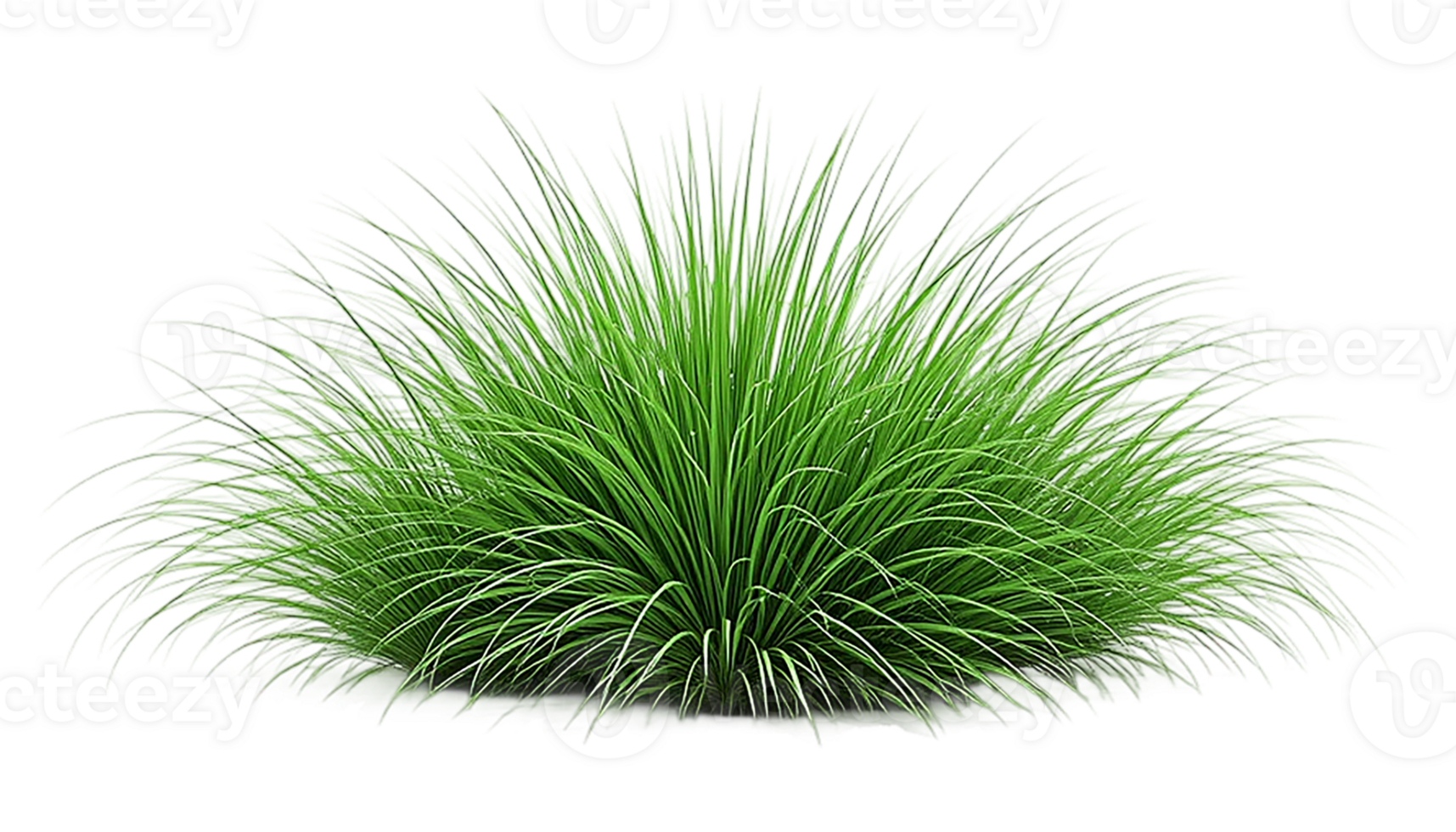 A vibrant, full cluster of green grass is presented against a pure transparent background. png