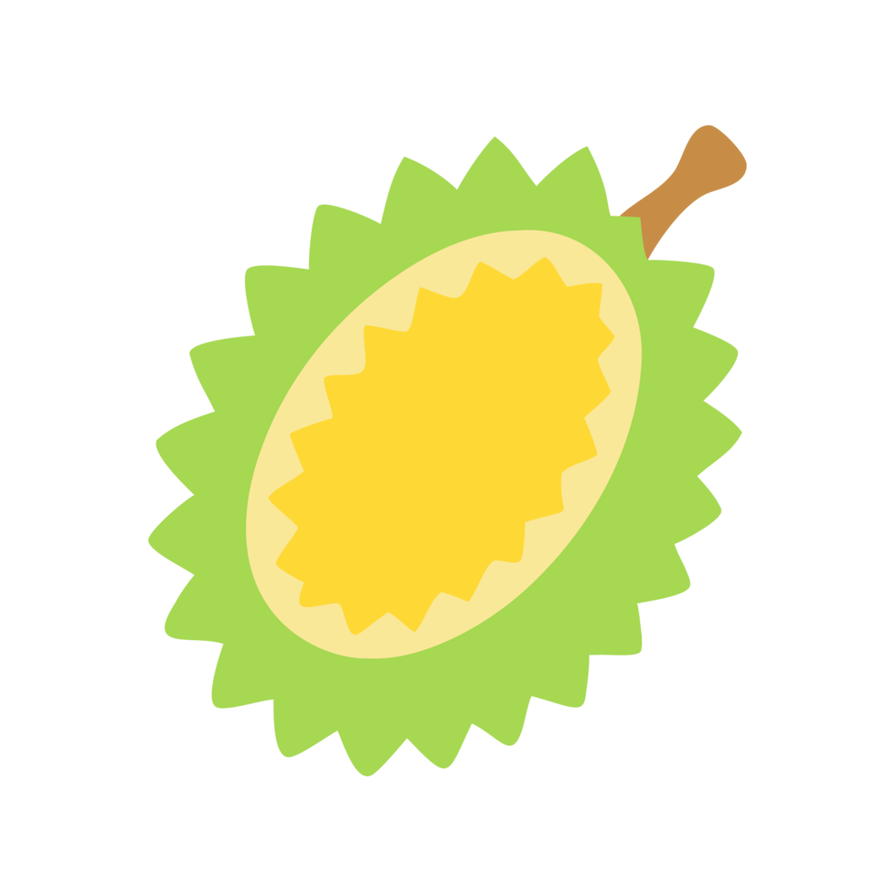Exploring the unique durian fruit tropical rainforest food photography natural environment close-up culinary delight png
