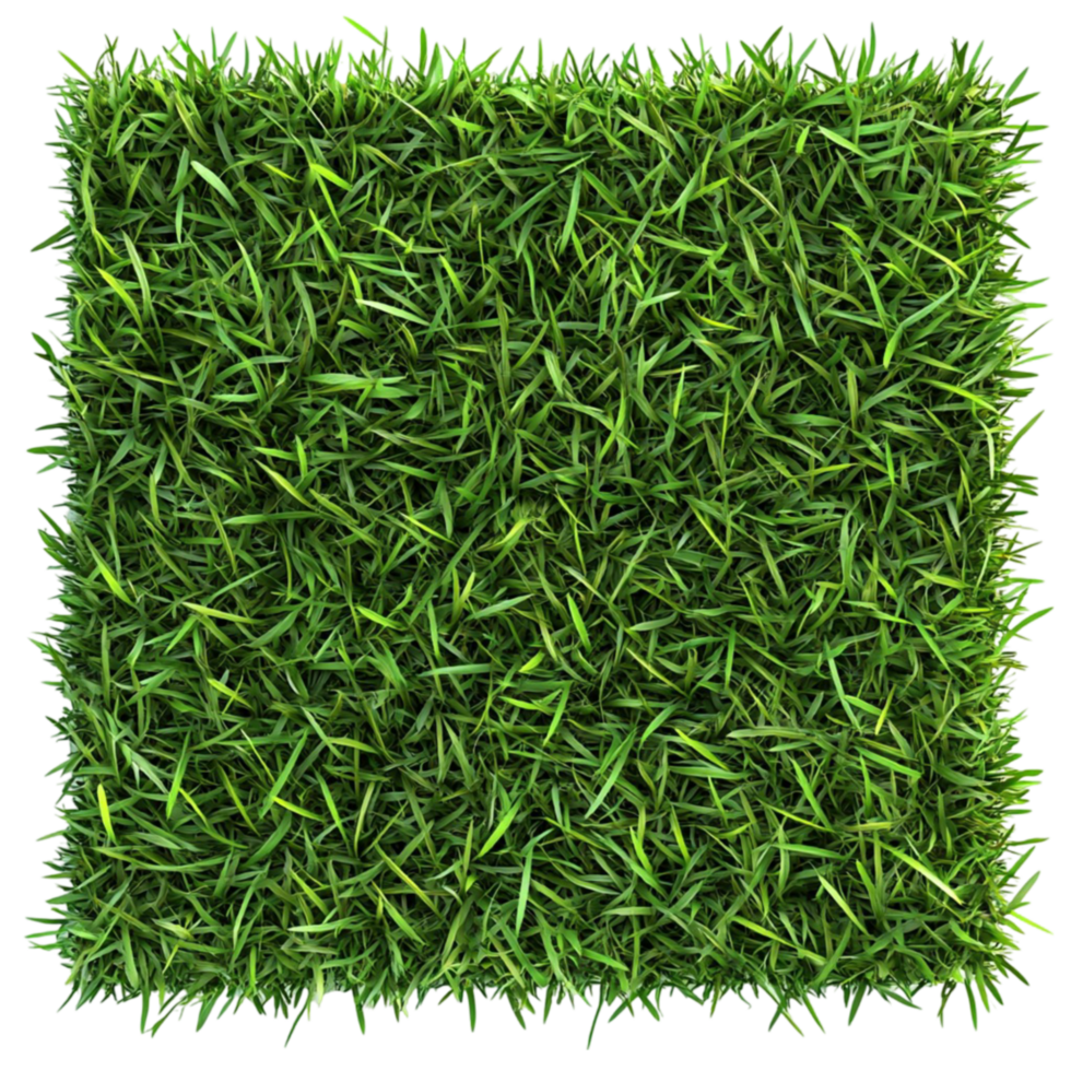Artificial Green Grass in Box png