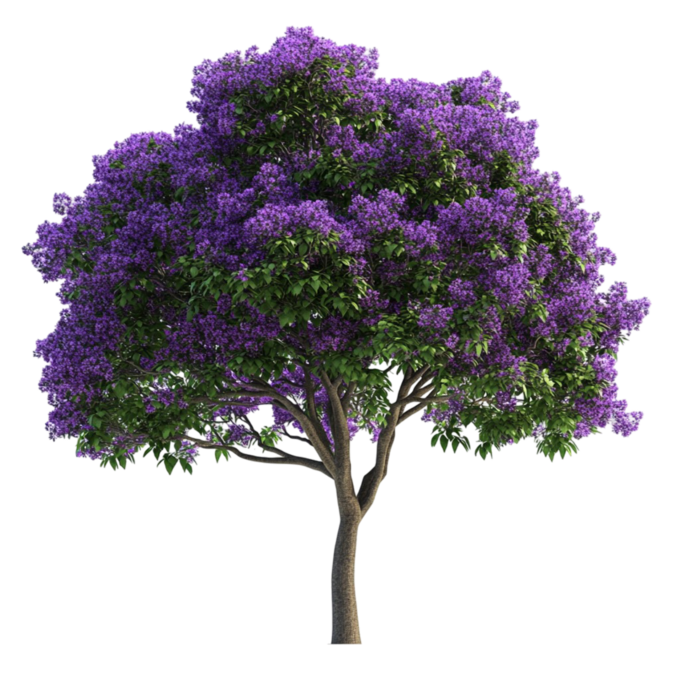 Purple Tree with Green Leaves png