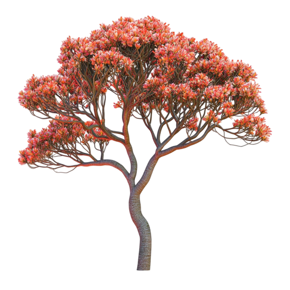 Ornamental Tree with Bright Red Foliage png