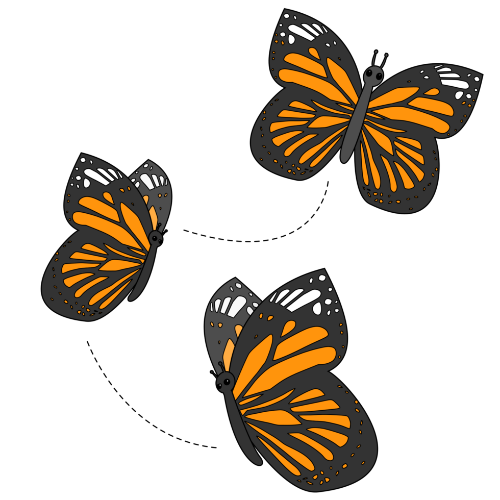 three butterflies flying png