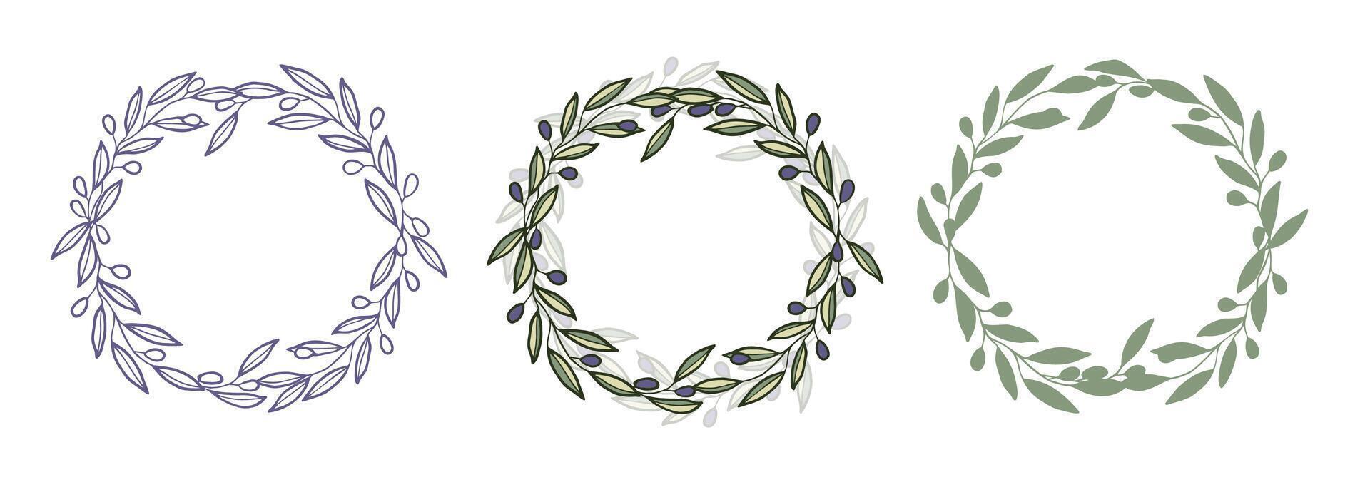 Circle wreath frame of olive branches and berries. vector
