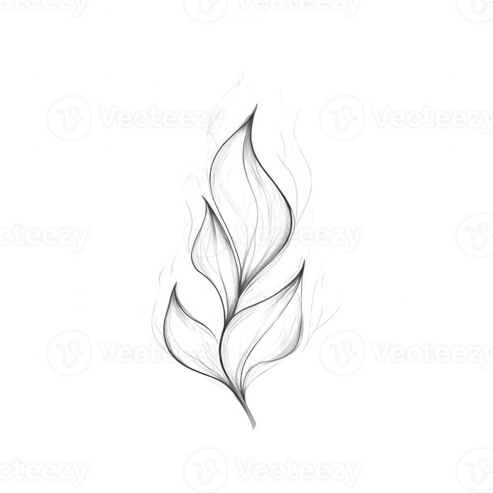 Stylized leaf design with flowing lines and intricate details for artistic purposes. png